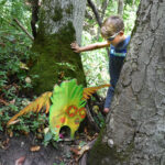 winged fairy house